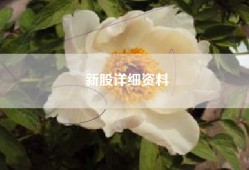 新股详细资料