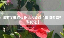 漯河关键词优化排名软件【漯河搜索引擎优化】
