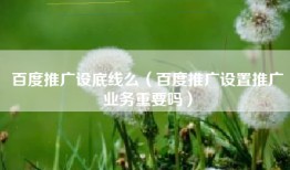 百度推广设底线么（百度推广设置推广业务重要吗）