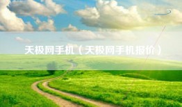 天极网手机（天极网手机报价）