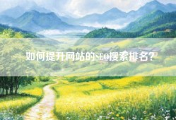 如何提升网站的SEO搜索排名？