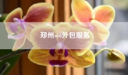 郑州seo外包服务