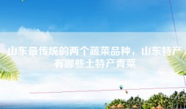 山东最传统的两个蔬菜品种，山东特产有哪些土特产青菜