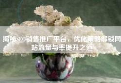 揭秘SEO销售推广平台，优化策略解锁网站流量与率提升之道