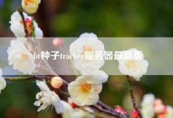 bt种子tracker服务器最新版