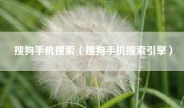 搜狗手机搜索（搜狗手机搜索引擎）