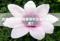 直播虚拟背景需要哪些设备？该如何配置？