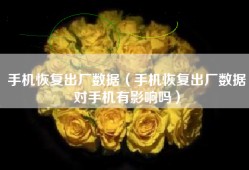 手机恢复出厂数据（手机恢复出厂数据对手机有影响吗）