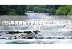 识别手机真伪（识别手机真伪输什么号码）