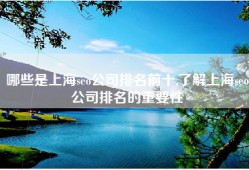 哪些是上海seo公司排名前十,了解上海seo公司排名的重要性