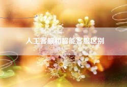 人工客服和智能客服区别