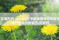 发展方向-2025-2031年中国新媒体市场现状及产业链分析报告-共研网