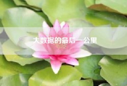大数据的最后一公里