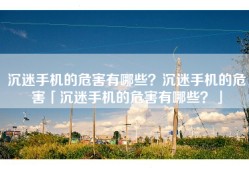 沉迷手机的危害有哪些？沉迷手机的危害「沉迷手机的危害有哪些？」