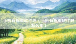 手机有称重软件吗（手机有称重软件吗怎么用）