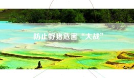 防止野猪危害“大战”