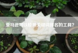 亚马逊可以检测关键词排名的工具？