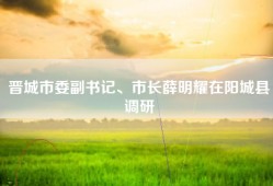 晋城市委副书记、市长薛明耀在阳城县调研