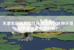 天津东丽湖的居住环境如何？这种环境对生活质量有何影响？