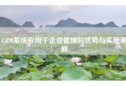 CRM系统应用于企业管理的优势与实施策略