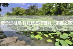 野兽进村后 村庄该怎样面对“不速之客”？