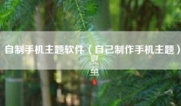 自制手机主题软件（自己制作手机主题）