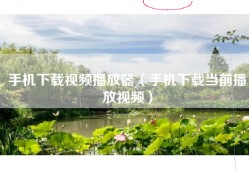手机下载视频播放器（手机下载当前播放视频）