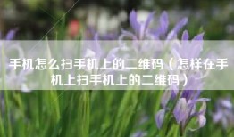 手机怎么扫手机上的二维码（怎样在手机上扫手机上的二维码）