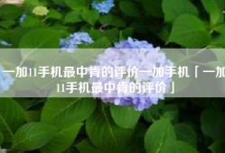 一加11手机最中肯的评价一加手机「一加11手机最中肯的评价」