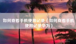 如何查看手机使用记录（如何查看手机使用记录华为）