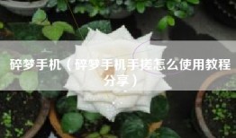 碎梦手机（碎梦手机手搓怎么使用教程分享）