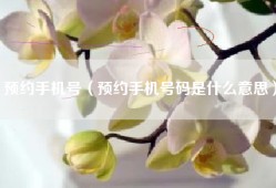 预约手机号（预约手机号码是什么意思）