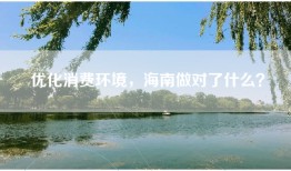 优化消费环境，海南做对了什么？