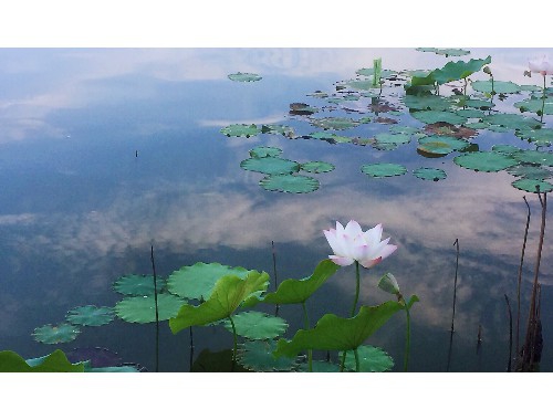芜湖市人民政府关于印发芜湖市低空经济高质量发展行动方案（2023—2025年）的通知