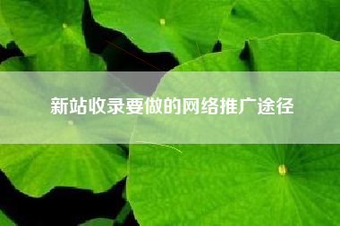 新站收录要做的网络推广途径