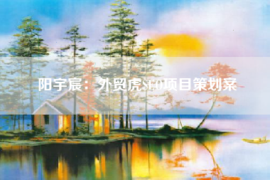 阳宇宸：外贸虎SEO项目策划案