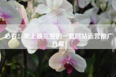 必看：史上最完整的一套网站运营推广方案！