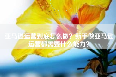 亚马逊运营到底怎么做？新手做亚马逊运营都需要什么能力？