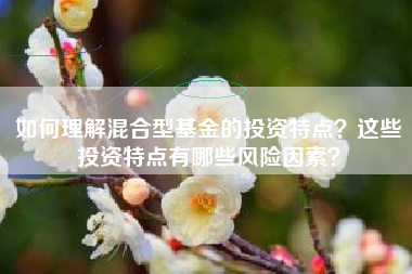 如何理解混合型基金的投资特点？这些投资特点有哪些风险因素？