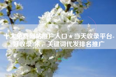 十大免费网站推广入口★当天收录平台-好收录-来，关键词代发排名推广