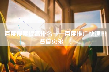 百度搜索提高排名——百度推广快速排名首页第一！