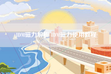 IDM磁力解析 IDM磁力使用教程