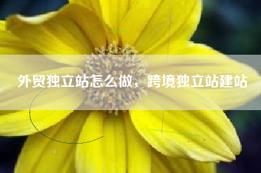外贸独立站怎么做，跨境独立站建站