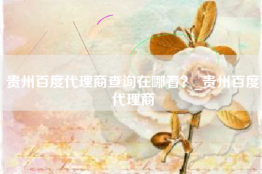 贵州百度代理商查询在哪看？_贵州百度代理商