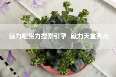 磁力吧磁力搜索引擎 -磁力天堂亮点