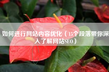 如何进行网站内容优化（15个段落带你深入了解网站SEO）