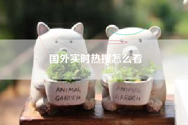 国外实时热搜怎么看