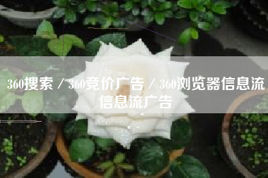 360搜索／360竞价广告／360浏览器信息流信息流广告