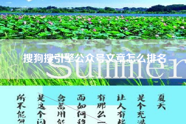 搜狗搜引擎公众号文章怎么排名