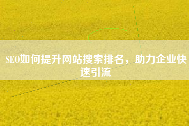 SEO如何提升网站搜索排名，助力企业快速引流